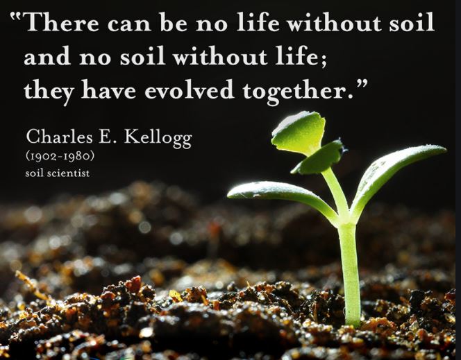 Εικόνα επιλογής